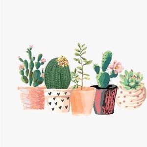 Meet your Posher, Bailey